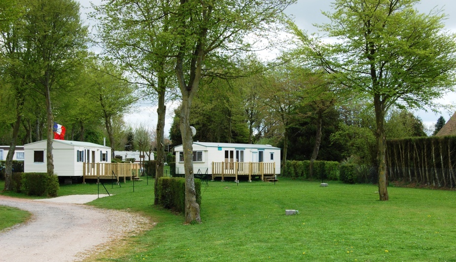 Dsc 578